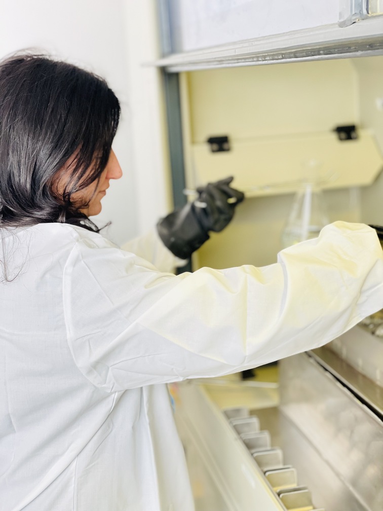 Lavorazione di campioni con strumenti di laboratorio